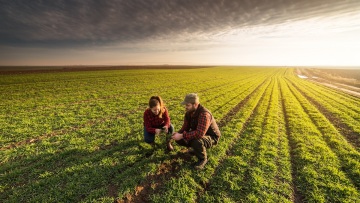 ΟΠΕΚΕΠΕ: Τι αλλάζει στις διαδικασίες ελέγχου των βιολογικών καλλιεργειών