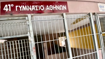 Κυψέλη: Μαθήτρια καταγγέλλει ότι φίλοι του 19χρονου απειλούν ότι θα κάνουν κακό σε όσους μιλάνε για την επίθεση στο Γυμνάσιο