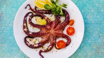 Χταπόδι ή μοσχιός; Σε τι διαφέρουν και πώς τα ξεχωρίζουμε