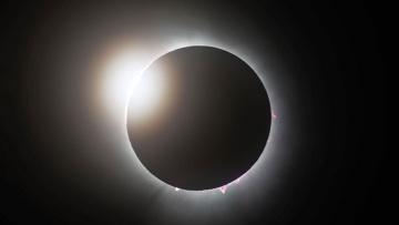 Η ολική έκλειψη ηλίου που μάγεψε τις ΗΠΑ: Οι μαζικοί γάμοι, οι παράξενες αντιδράσεις ζώων και οι θεαματικές εικόνες