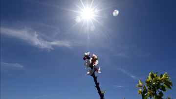 Κλίμα: Ο Μάρτιος του 2024 ήταν ο πιο θερμός Μάρτιος που έχει καταγραφεί ποτέ στον κόσμο, λέει το Copernicus