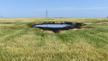 Θεσσαλονίκη: Εταιρεία ενέργειας έριχνε επί μήνες υγρά απόβλητα σε χωράφια - Δείτε φωτογραφίες