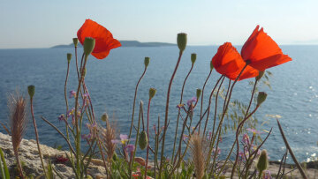 Καιρός: Χωρίς μποφόρ, με κοντομάνικο στα νησιά, αλλά με ομπρέλα στα βόρεια ορεινά - Η πρώτη πρόβλεψη για το Πάσχα