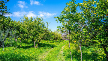 Απαγόρευση κυκλοφορίας σε τέσσερις περιοχές του Κιλκίς