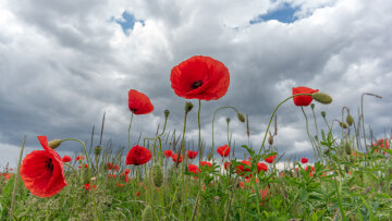 Πρόγνωση καιρού: Τι προβλέπει η ΕΜΥ από αύριο ανά περιοχή έως την Κυριακή του Πάσχα 