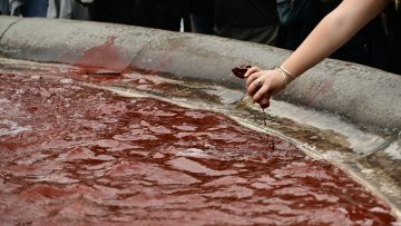 Πρωτομαγιά: Διαδηλωτές έριξαν κόκκινη μπογιά στο σιντριβάνι του Συντάγματος για τη Γάζα