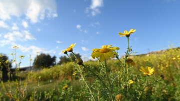 Καιρός: Ήπιο και ανοιξιάτικο σκηνικό έως το Σάββατο, πότε αναμένονται βροχές