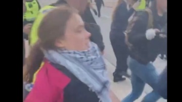 Eurovision 2024: Συνελήφθη η Γκρέτα Τούνμπεργκ έξω από τον χώρο του τελικού - Βίντεο