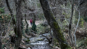 Σκυλακάκης: Πόροι 30 εκατ. ευρώ από το Πράσινο Ταμείο για προληπτικά μέτρα πυροπροστασίας