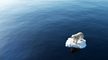 Κλιματική αλλαγή: Η Συμφωνία του Παρισιού δεν αρκεί για να σωθούν οι ωκεανοί - Τι πρέπει να κάνουν οι χώρες