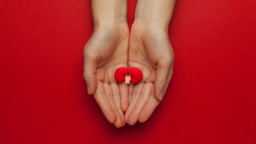 Νεφροί: Πέντε tips για να τους προφυλάξετε – Τα σημάδια που μαρτυρούν πρόβλημα