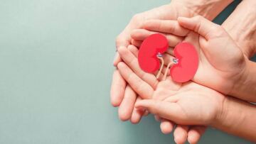 Δωρεά οργάνων - Μεταμοσχεύσεις: Οι 1.522 δότες και το μακρύ ταξίδι ζωής για τους λήπτες