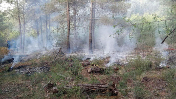 Θεσσαλονίκη: Φωτιά στο Σέιχ Σου - Προσήχθη ένα άτομο