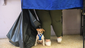 Ευρωεκλογές: Με σκυλιά, ποδήλατα και... τρακτέρ πήγαν να ψηφίσουν - Δείτε φωτογραφίες 