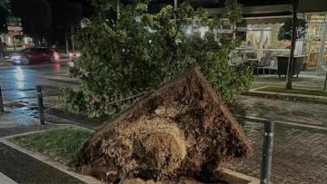 Δυνατό μπουρίνι στη Βέροια «ξήλωσε» δέντρα και κολώνες ρεύματος - Στο σκοτάδι πολλές περιοχές της πόλης 