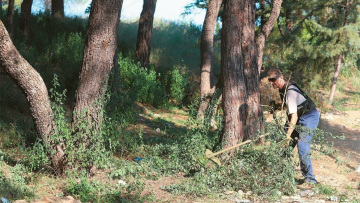 Ακαθάριστα οικόπεδα: Πότε ανοίγει η πλατφόρμα, πιο αυστηροί οι έλεγχοι 