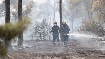 Καιρός: Ανησυχία για τον συνδυασμό Hot-Dry-Windy - Συναγερμός για δασικές πυρκαγιές