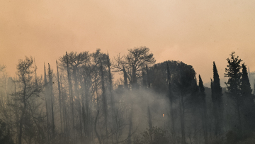 Πυροσβεστική: Βελτιωμένη η εικόνα στα πύρινα μέτωπα, πολύ υψηλός ο κίνδυνος το Σάββατο - Εστάλησαν 26 μηνύματά 112