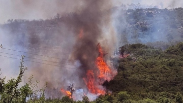 Μάχη σε διαδοχικά πύρινα μέτωπα - 45 πυρκαγιές ξέσπασαν από το πρωί  - Μηνύματα από το 112 σε 11 περιοχές 