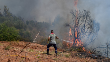 Φωτιά σε αγροτοδασική έκταση στον Κλαδά της Σπάρτης