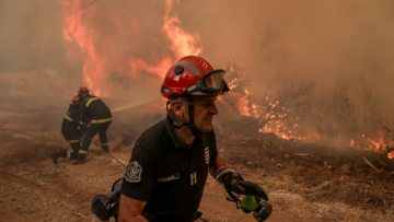 Φωτιά σε δασική έκταση στους Ασκητές Ροδόπης - Μήνυμα του 112