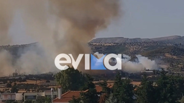 Φωτιά στην Εύβοια - Μεγάλη κινητοποίηση της Πυροσβεστικής