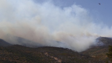 Φωτιά στην Πάρνηθα - Κολυδάς: 7 με 8 μποφόρ oι ριπές του ανέμου - Πότε εξασθενούν