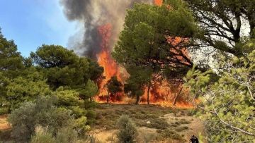 Χωρίς ενεργό μέτωπο οι φωτιές σε Σταμάτα και Κερατέα - Σε εξέλιξη πυρκαγιές σε Ζάκυνθο και Δίστομο