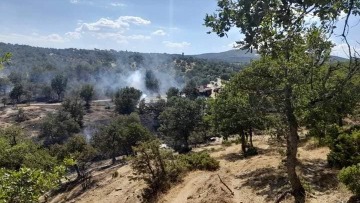 Υπό μερικό έλεγχο η φωτιά στο Σουφλί Έβρου - Δείτε βίντεο και φωτογραφίες