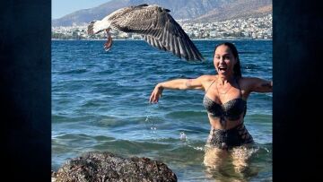 Πηνελόπη Αναστασοπούλου: Απολαμβάνει τις βουτιές της στη θάλασσα δίπλα σε έναν γλάρο