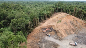 Η Βραζιλία καταγράφει τη μεγαλύτερη μείωση των εκπομπών αερίων χάρη στην επιβράδυνση της αποψίλωσης των δασών 