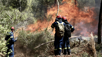 Φωτιά σε δασική έκταση στο Σοφικό Κορινθίας - Τραυματίστηκαν ελαφρά τρεις πυροσβέστες, δείτε βίντεο