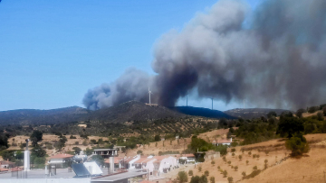Φωτιά στην Εύβοια: Οι καπνοί έχουν σκεπάσει το λιμάνι της Ραφήνας - Δείτε φωτογραφία 