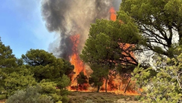 Πυροσβεστική: 44 φωτιές το τελευταίο 24ωρο - Οι 15 ήταν ιδιαιτέρως επικίνδυνες