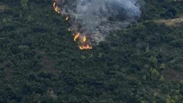 Πυροσβεστική: Φωτιές σε Ναύπλιο και Εύβοια, σε χαράδρα καίει η πυρκαγιά στον Δομοκό 