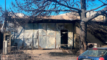 Φωτιά στην Αττική: Η τραγική ιστορία της γυναίκας που απανθρακώθηκε στο Πάτημα Χαλανδρίου