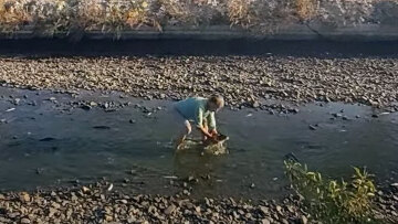 Θεσσαλία: Άνδρας σώζει τα ψάρια που σπαρταρούν στη λίμνη Κάρλα