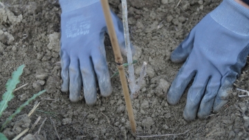 Με βία εξανάγκαζε μετανάστες να δουλεύουν χωρίς να τους πληρώνει