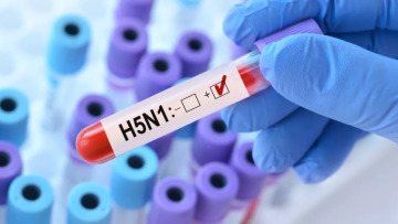 Γρίπη των πτηνών: Στενεύει ο κλοιός γύρω από τον άνθρωπο – Θα φέρει ο H5N1 την επόμενη πανδημία;