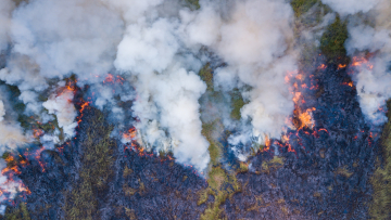 «Μαύρο» ρεκόρ για τη Λατινική Αμερική: Πάνω από 346.000 πυρκαγιές έχουν ξεσπάσει φέτος