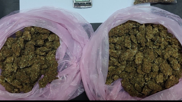 Ρόδος: Έφοδος στα σπίτια διακινητών κάνναβης