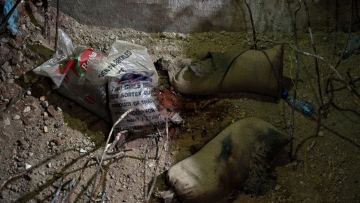 Λίβανος: Τέλος μέχρι νεωτέρας η μεταφορά βομβητών και γουόκι τόκι από επιβάτες σε πτήσεις από Βηρυτό μετά τις εκρήξεις