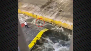 Στη φυλακή ο πλοίαρχος και ο ύπαρχος για τον θάνατο του Αντώνη Καργιώτη - Καθείρξεις χωρίς αναστολή 