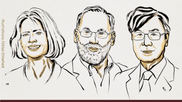 Για τους μηχανισμούς που εμποδίζουν τα αυτοάνοσα το φετινό Νόμπελ Ιατρικής