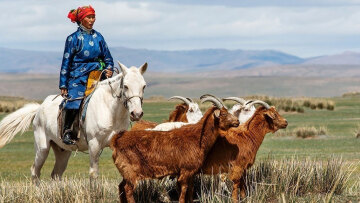 Το κασμίρ κάνει θραύση – Η ιστορία και η οικονομία πίσω από το πιο περιζήτητο ύφασμα παγκοσμίως