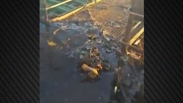 Οι Ουκρανοί κατηγορούν τους Ρώσους ότι επιτέθηκαν με drone σε τουρκικό εμπορικό πλοίο στη Μαύρη Θάλασσα, δείτε βίντεο