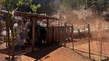 Πρώτος μαζικός έλεγχος της ΑΑΔΕ στην Κρήτη για τις αγροτικές επιδοτήσεις, 120 από τους 195 κτηνοτρόφους δεν προσήλθαν