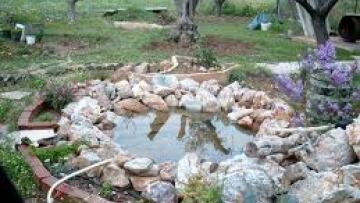 Επιμένει η Ουκρανία στην επιχείρηση κατά των αυτονομιστών