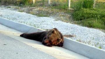 Με σεκιούριτι και… όπλα σε παιδότοπο του Ηρακλείου ο Σαουδαράβας Σαλμάν