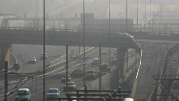 Γιορτάζοντας το... περιβάλλον: Οι θαυμαστές πτήσεις των χελιδονιών!